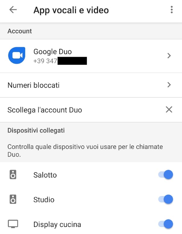 Chiamare Google Home attraverso Duo: configurazione Chiamare Google Home attraverso Duo: configurazione